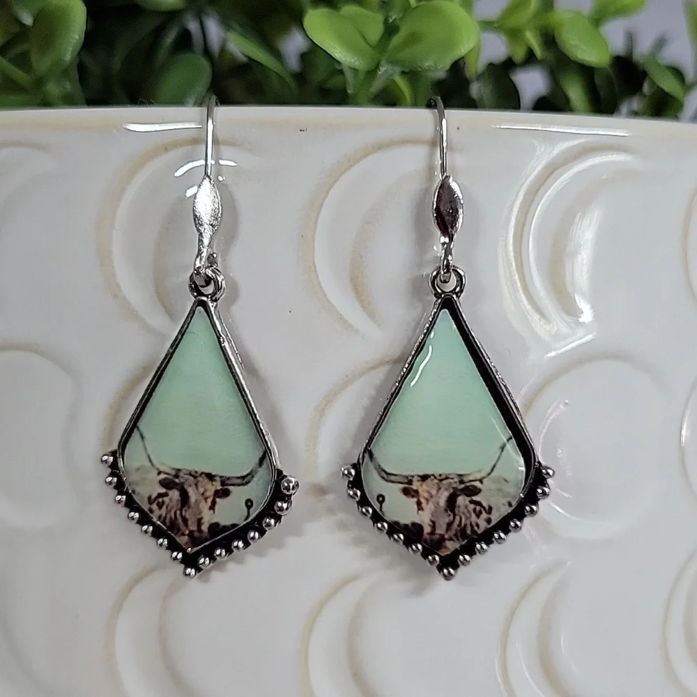 🔥LAST PAIR🔥 Texas Longhorn Drop Earrings - Picture 3 of 5
